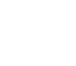 Vector (17)