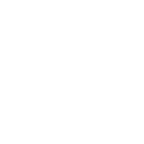 Vector (18)