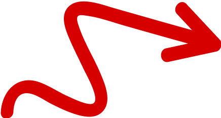 Vector (20)